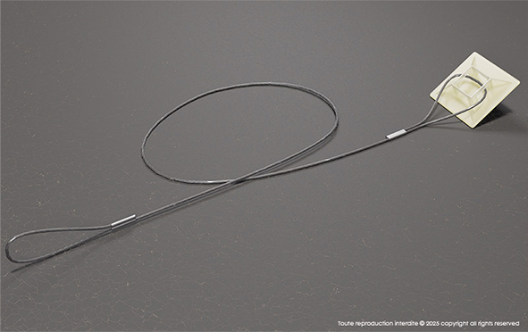 Fixnet® Box attachment cable for bait box 