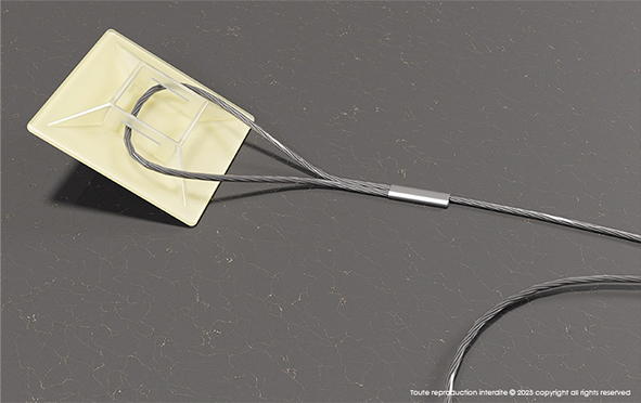 Fixnet® Box attachment cable for bait box 